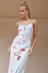 RAFFITA MAXI DRESS - CADENCE PRINT